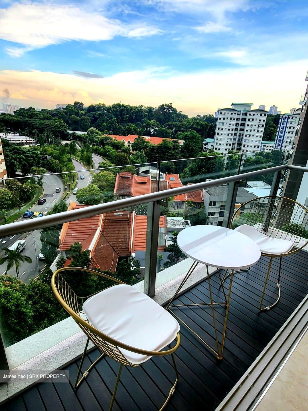 Cairnhill Crest (D9), Condominium #601584221